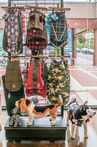 Pet Supply Store «Modern Pet», reviews and photos, 212-77 26th Ave, Bayside, NY 11360, USA