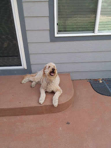 Pet Supply Store «Pet Supplies Plus», reviews and photos, 2912 Council Tree Ave #100, Fort Collins, CO 80525, USA