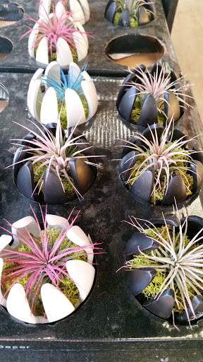 Home Improvement Store «The Home Depot», reviews and photos, 1200 Home Depot Blvd, Sunset Valley, TX 78745, USA