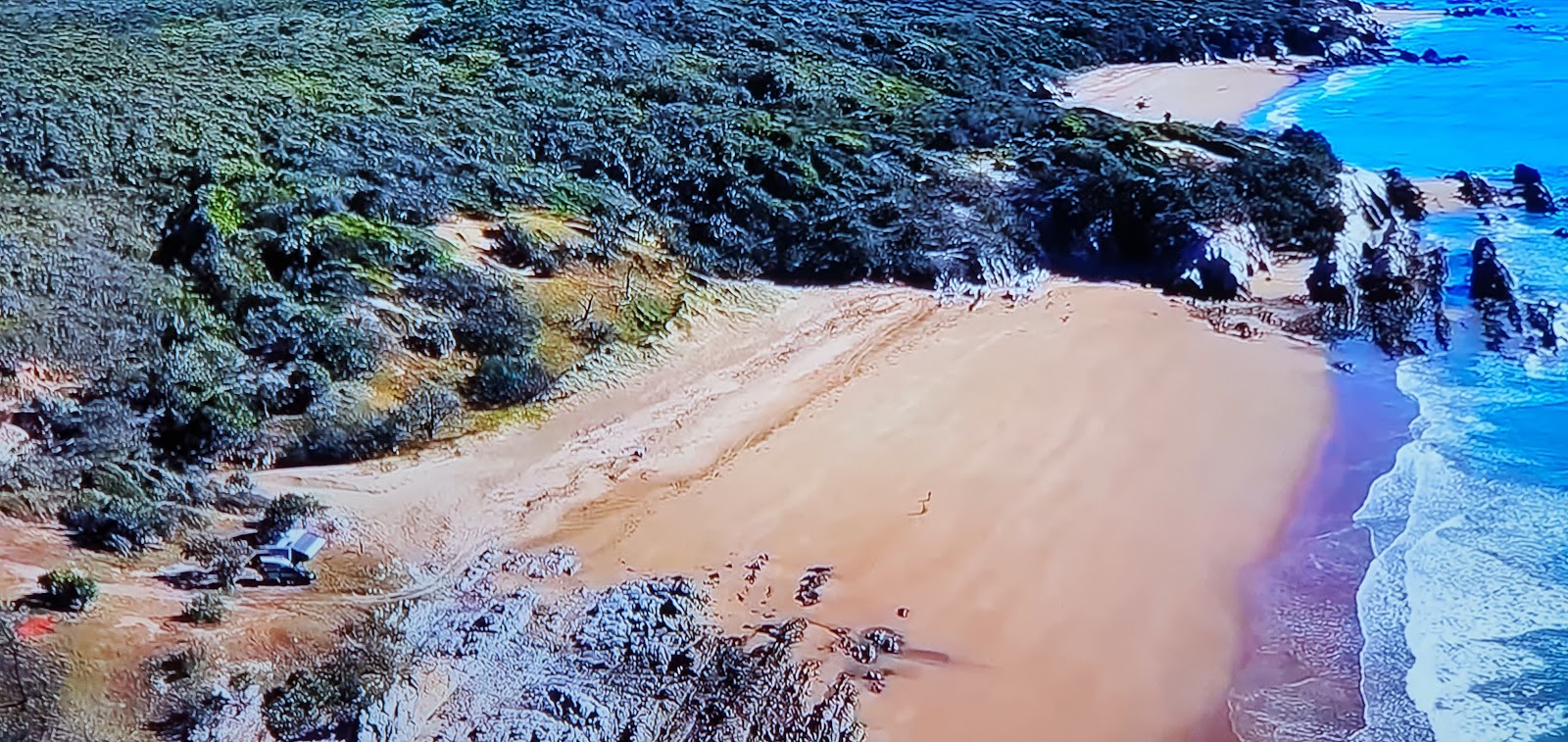 Foto av Joey Lees Beach med hög nivå av renlighet