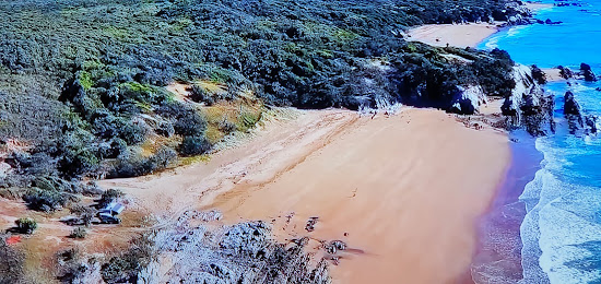 Joey Lees Beach
