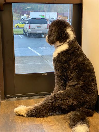 Insurance Agency «Ryan Gelbrich - State Farm Insurance Agent», reviews and photos