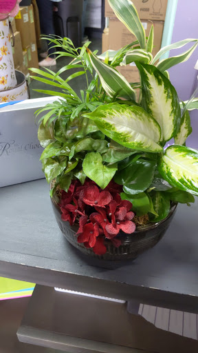 Florist «Fairfield Flowers», reviews and photos, 5194 Fairfield Shopping Centre, Virginia Beach, VA 23464, USA