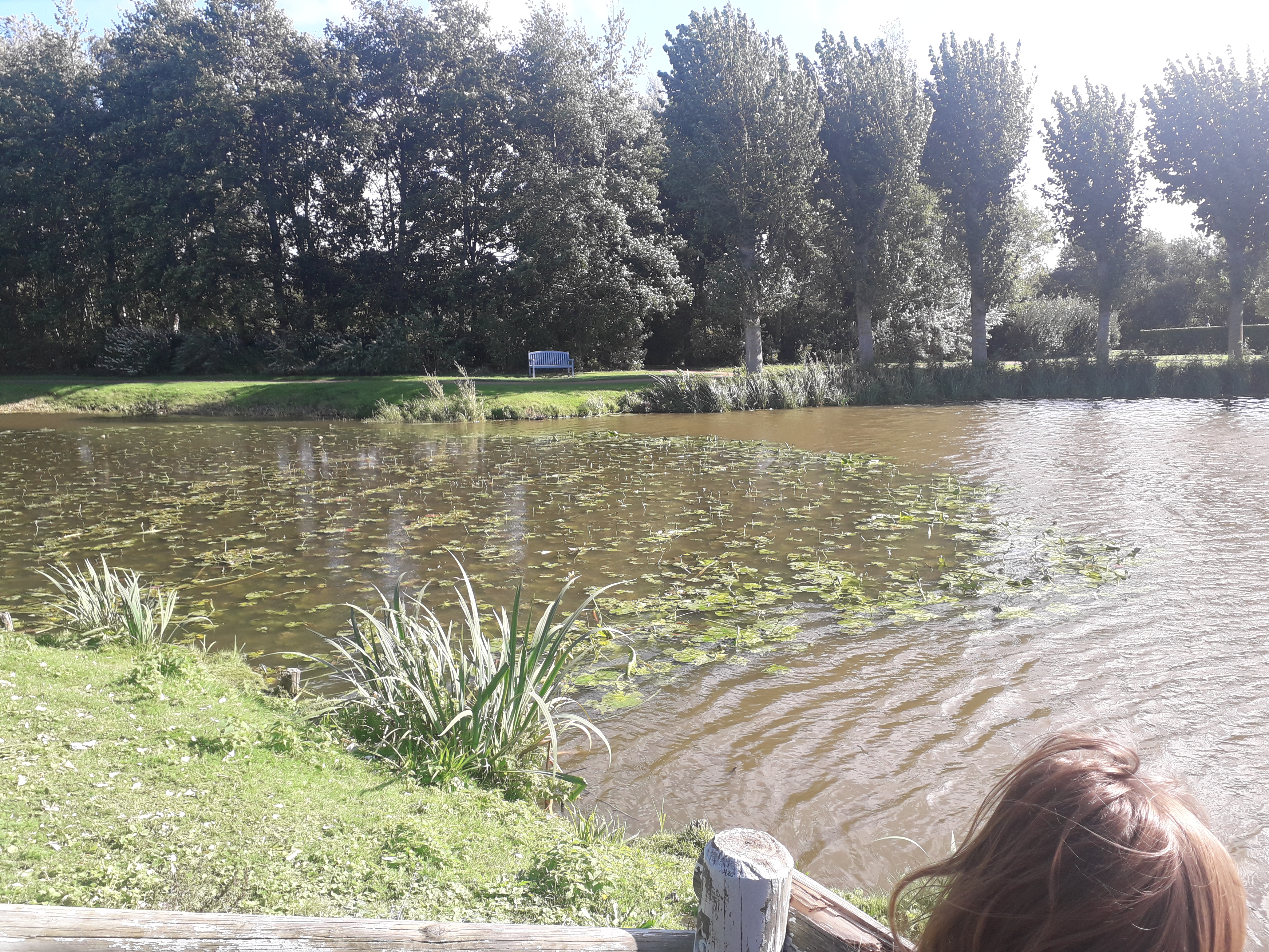 Photo n° 8 de l'avis de Socecha.4 fait le 06/10/2021 à 13:41