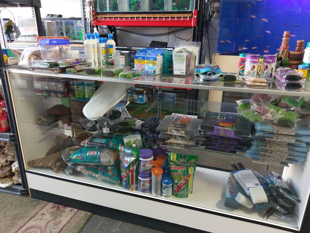 Tropical Fish and Feed