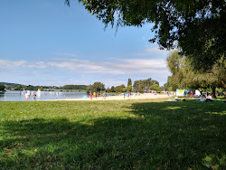 Photo de Lac de Pont-l'Eveque Beach zone sauvage