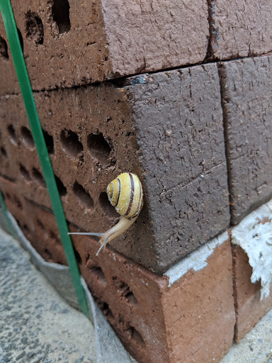 Masonry Supply Store «Frederick Brick Works, Inc.», reviews and photos, 1731 Monocacy Blvd, Frederick, MD 21701, USA