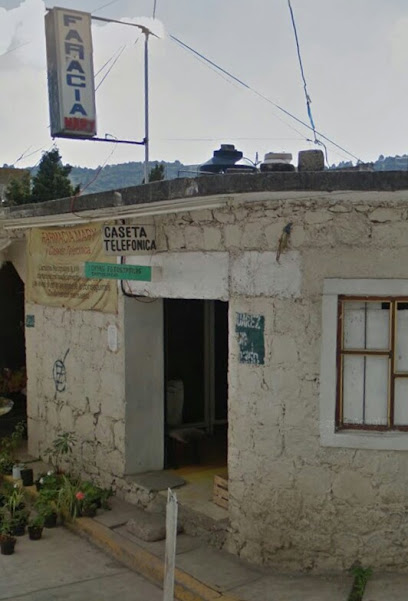 Farmacia Y Caseta Telefonica Mary, , San Bartolomé Atlatlahuca