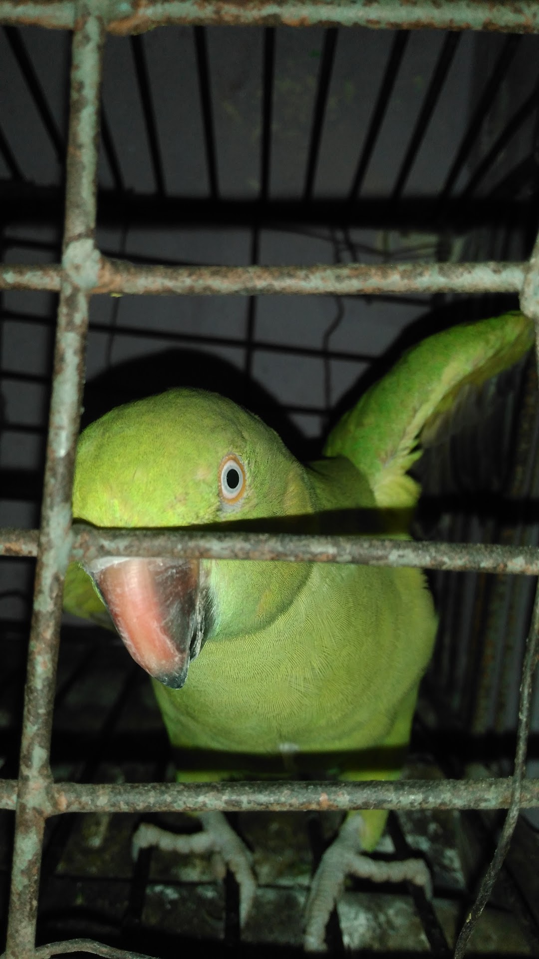 Atal Para
