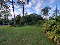 DA's Complete Lawn & Landscaping - Photo 7 - Car repair in , Palm Bay