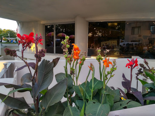 Modern Art Museum «Solomon R. Guggenheim Museum», reviews and photos, 1071 5th Ave, New York, NY 10128, USA