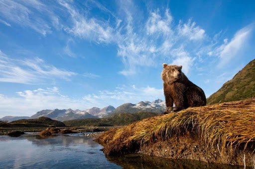 National Park «Katmai National Park and Preserve», reviews and photos