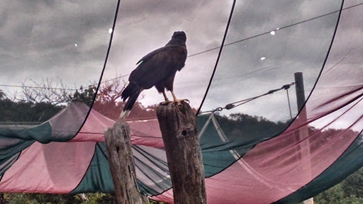 Park «Sterling Forest State Park», reviews and photos, Old Forge Rd, Tuxedo Park, NY 10987, USA