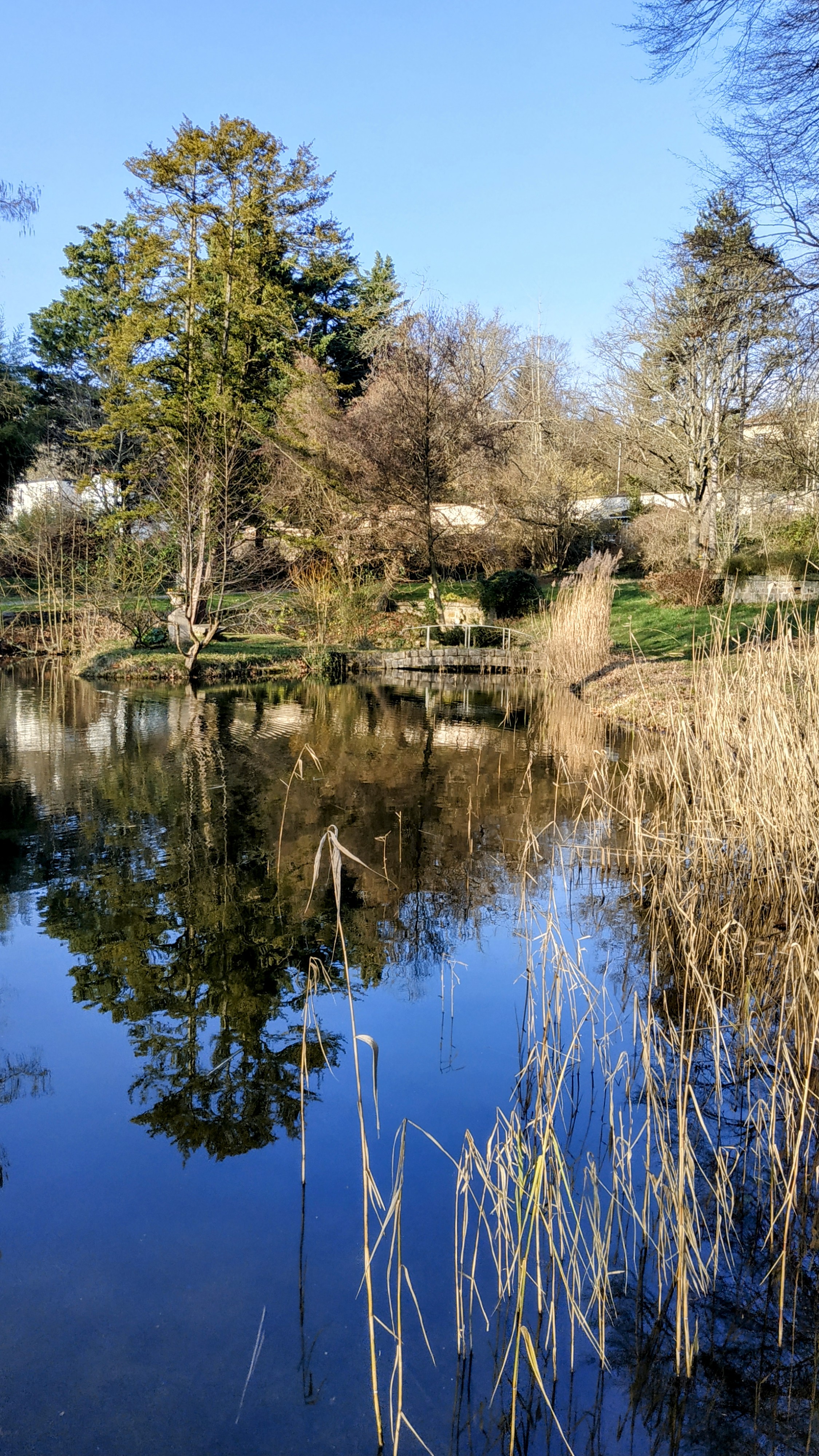 Photo n° 12 de l'avis de The.a fait le 21/01/2023 à 17:18