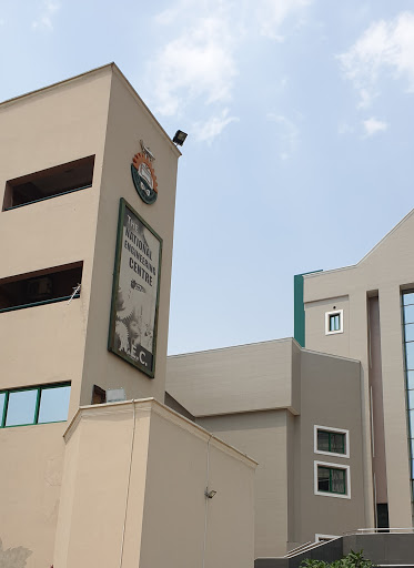 The Nigerian Society of Engineers NSE National Headquarters, 1012 Sani Abacha Way, Central Business Dis, Abuja, Nigeria, Art Gallery, state Nasarawa
