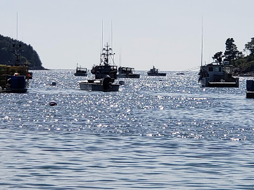 Nature Preserve «Johnson Field Preserve at Mackerel Cove», reviews and photos, 25 Abner Point Rd, Bailey Island, ME 04003, USA