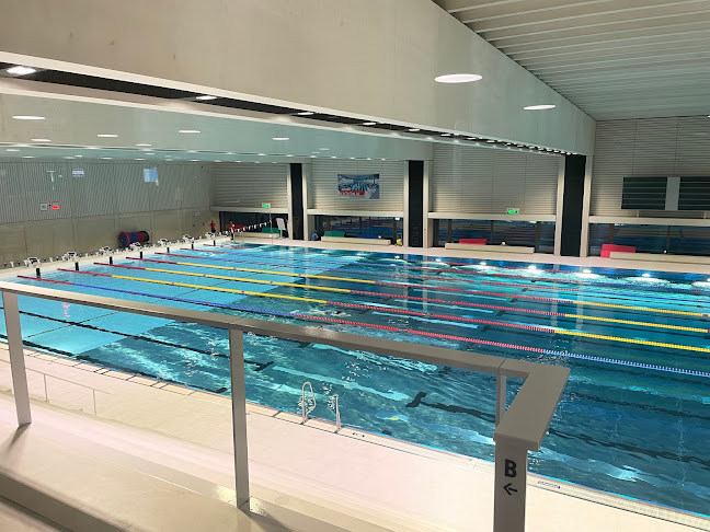 Rezensionen über CAMPUS SURSEE Sportarena in Sursee - Sportstätte