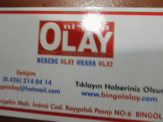 Bingöl Olay Gazetesi