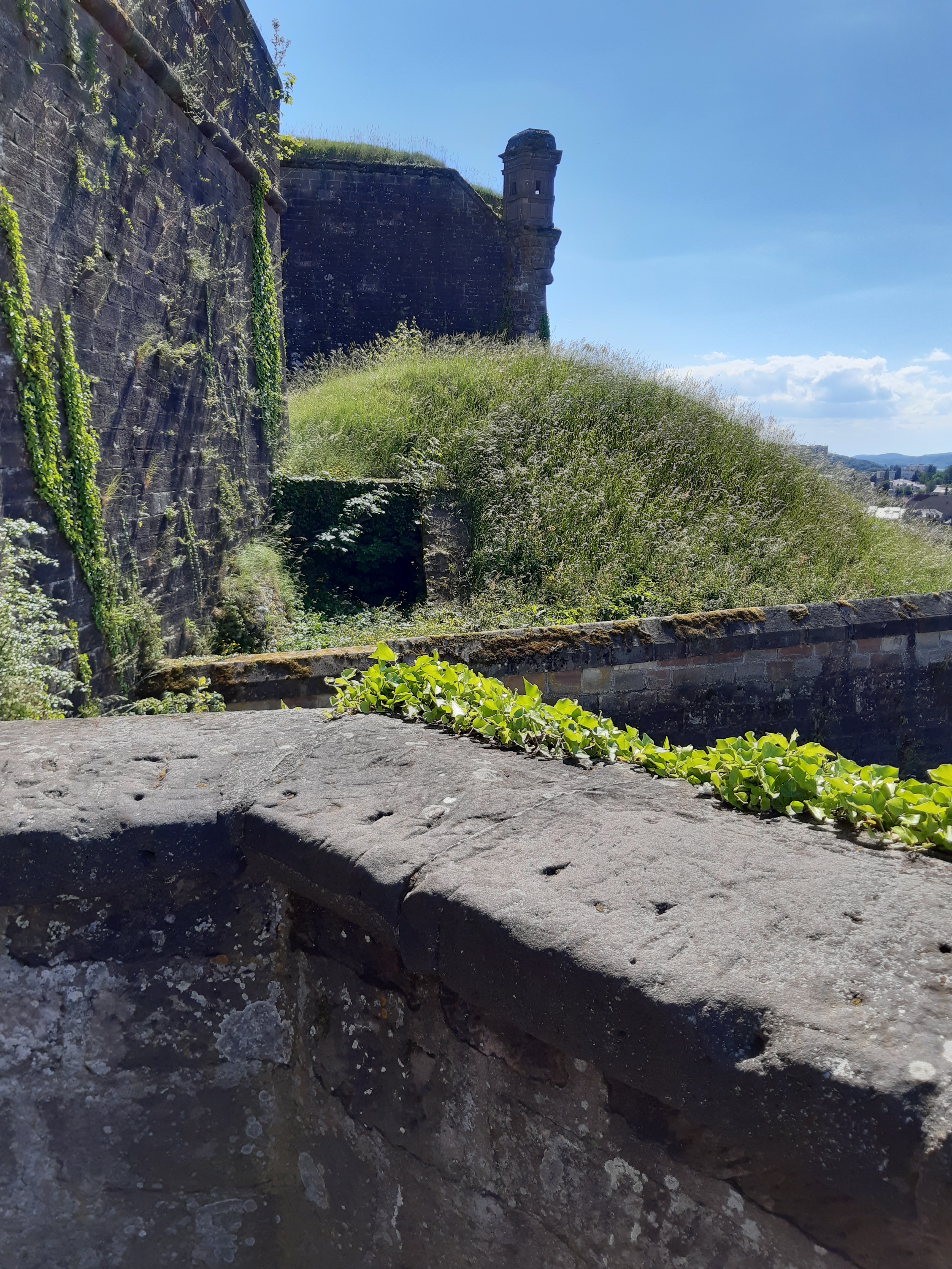 Photo n° 4 de l'avis de Aymeric.e fait le 29/05/2022 à 14:43