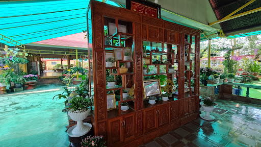 Top 12 cửa hàng thiên phú Huyện Phú Tân Cà Mau 2022