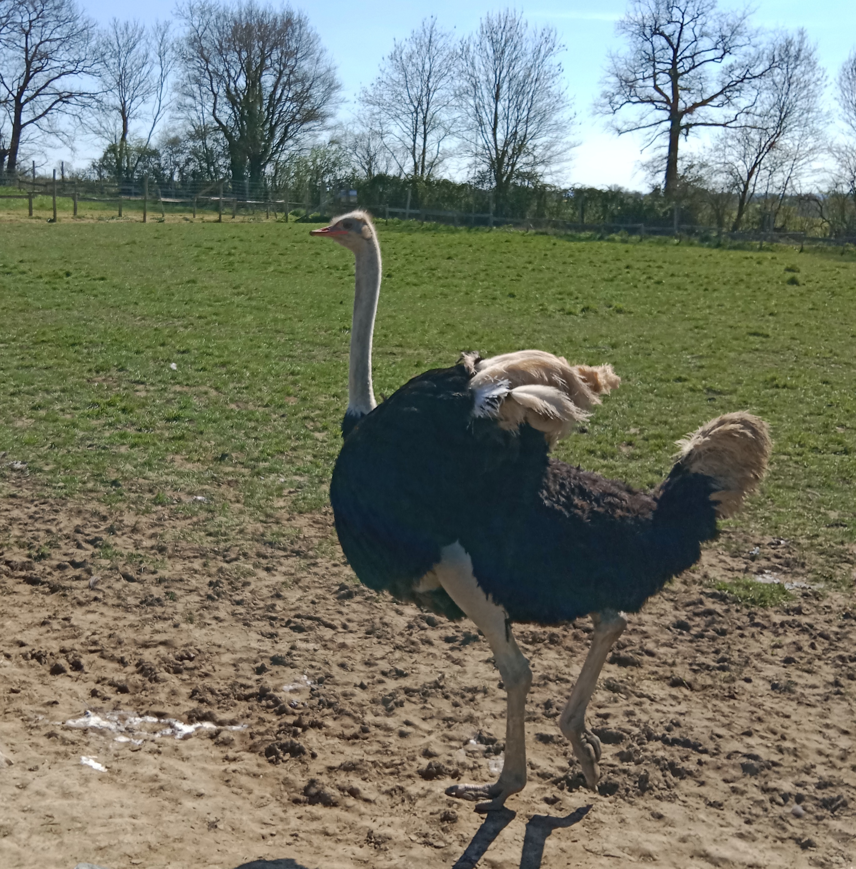 Photo n° 4 de l'avis de gil.o fait le 09/04/2023 à 08:07