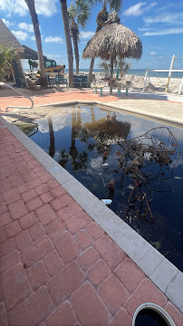 Blu Wtr Pool Renovation and Repair LLC - Photo 7 - Car repair in , Tampa