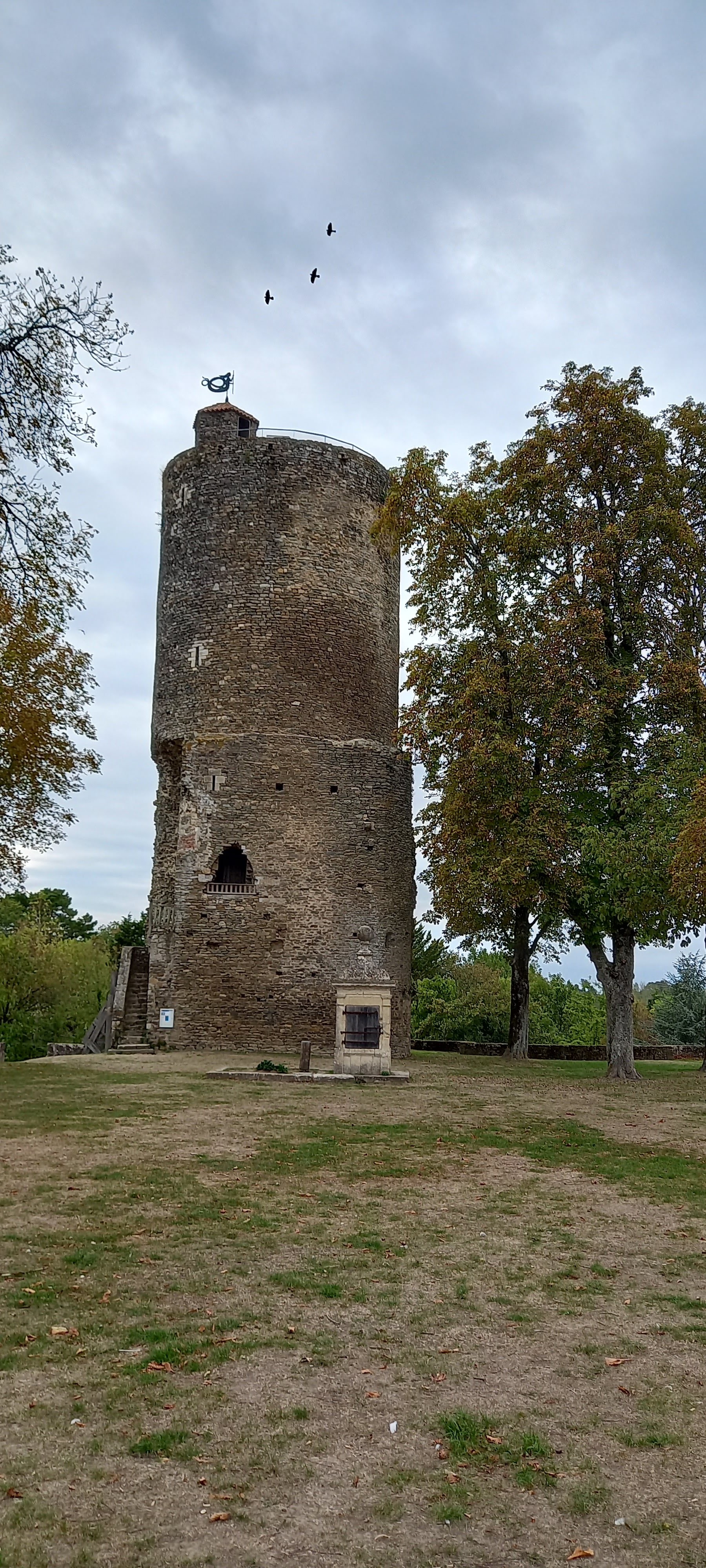 Photo n° 2 de l'avis de Mireille.r fait le 08/10/2022 à 21:01
