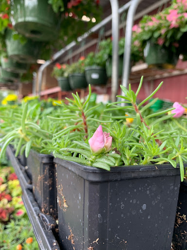 Hardware Store «Taylor’s Do-it Center», reviews and photos, 3400 Colley Ave, Norfolk, VA 23508, USA