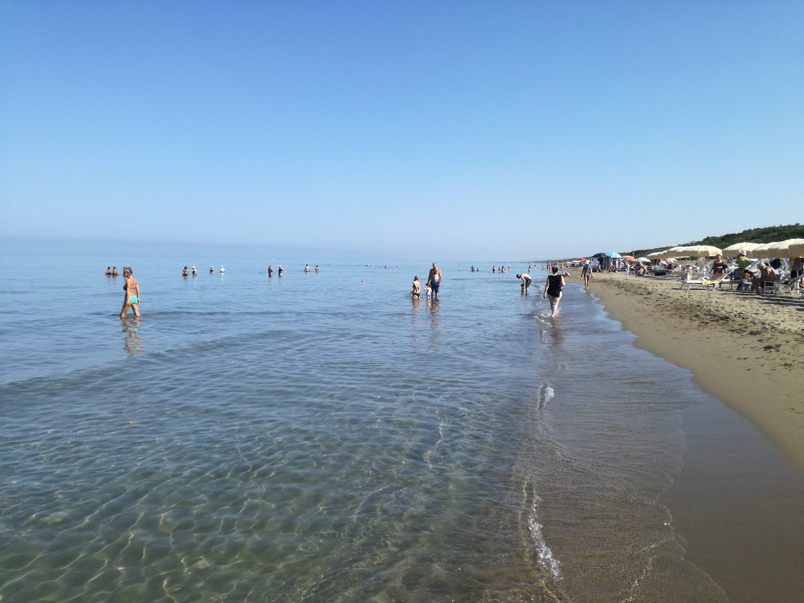 Foto af San Vincenzo beach - populært sted blandt afslapningskendere