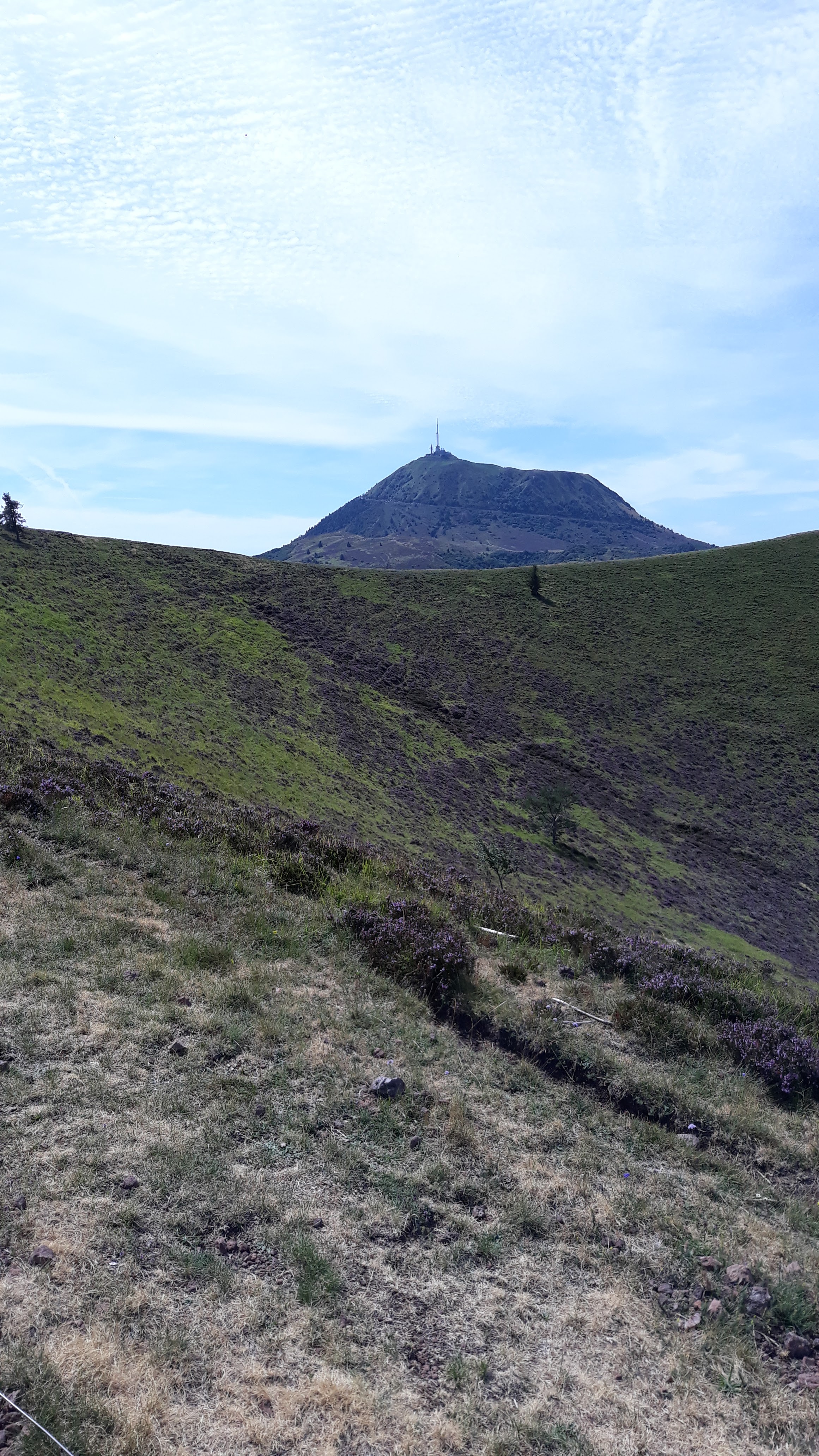Photo n° 5 de l'avis de Mathis.l fait le 17/08/2019 à 07:13