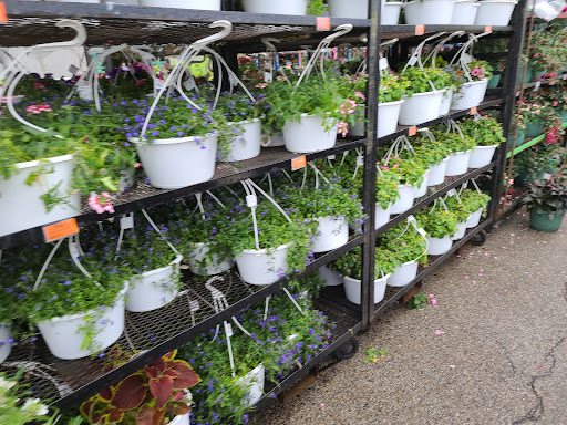 Home Improvement Store «Menards», reviews and photos, 3215 W North Ave, Melrose Park, IL 60160, USA