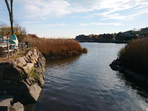 Clothing Store «Gap», reviews and photos, 125 Main St, Westport, CT 06880, USA