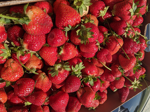 Produce Market «Mt Olympus Berry Farm», reviews and photos, 23298 Jefferson Davis Hwy, Ruther Glen, VA 22546, USA