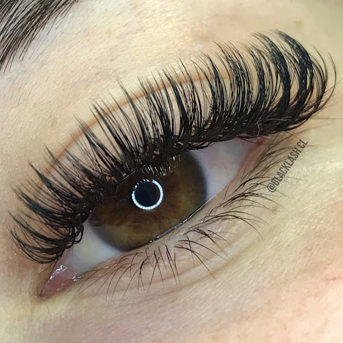 Black Lash Extensiones de Pestañas