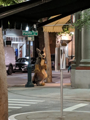 Book Store «Bookshop Santa Cruz», reviews and photos, 1520 Pacific Ave, Santa Cruz, CA 95060, USA