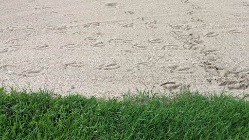 Golf Course «Mariana Butte Golf Course», reviews and photos, 701 Clubhouse Dr, Loveland, CO 80537, USA