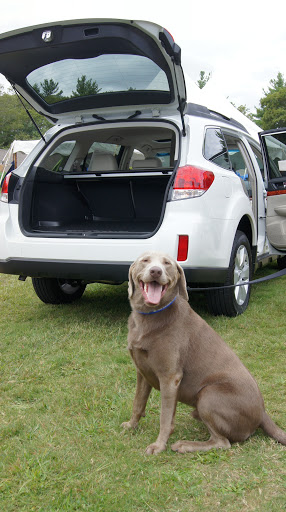 Subaru Dealer «Planet Subaru», reviews and photos, 596 Washington St, Hanover, MA 02339, USA