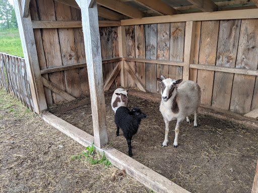 Cider Mill «Virtue Cider», reviews and photos, 2170 62nd St, Fennville, MI 49408, USA