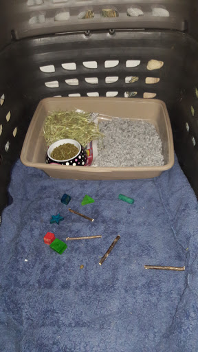 Pet Supply Store «PetSmart», reviews and photos, 475 Bank St, Waterbury, CT 06708, USA