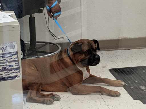 Pet Supply Store «Petco Animal Supplies», reviews and photos, 4950 S 76th St, Greenfield, WI 53220, USA