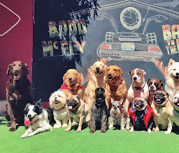 Park Doggyland photo