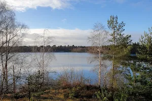 Bawsey Country Park image