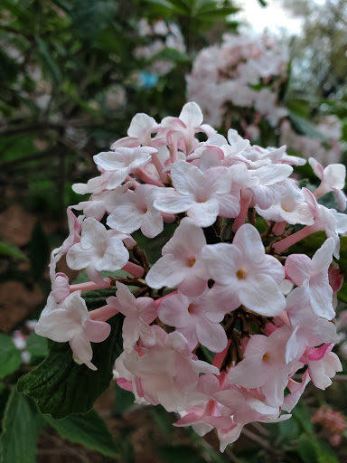 Park «East Boston Memorial Park», reviews and photos, 143 Porter St, Boston, MA 02128, USA