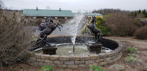 Winery «The Winery at Kindred Pointe», reviews and photos, 3575 Conicville Rd, Mt Jackson, VA 22842, USA