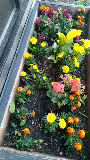 Asian Grocery Store «Lotus Blossom Inc», reviews and photos, 2750 Main Ave, Fargo, ND 58103, USA