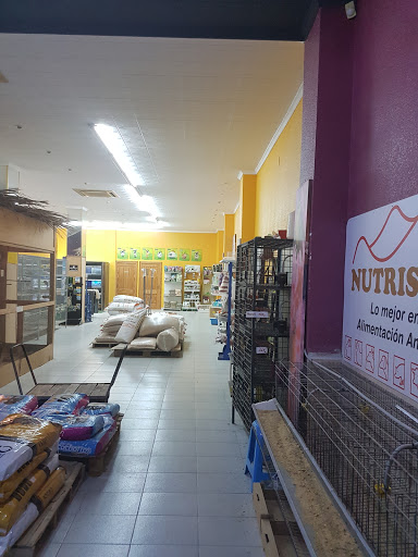 Black Sheep - Aguilas