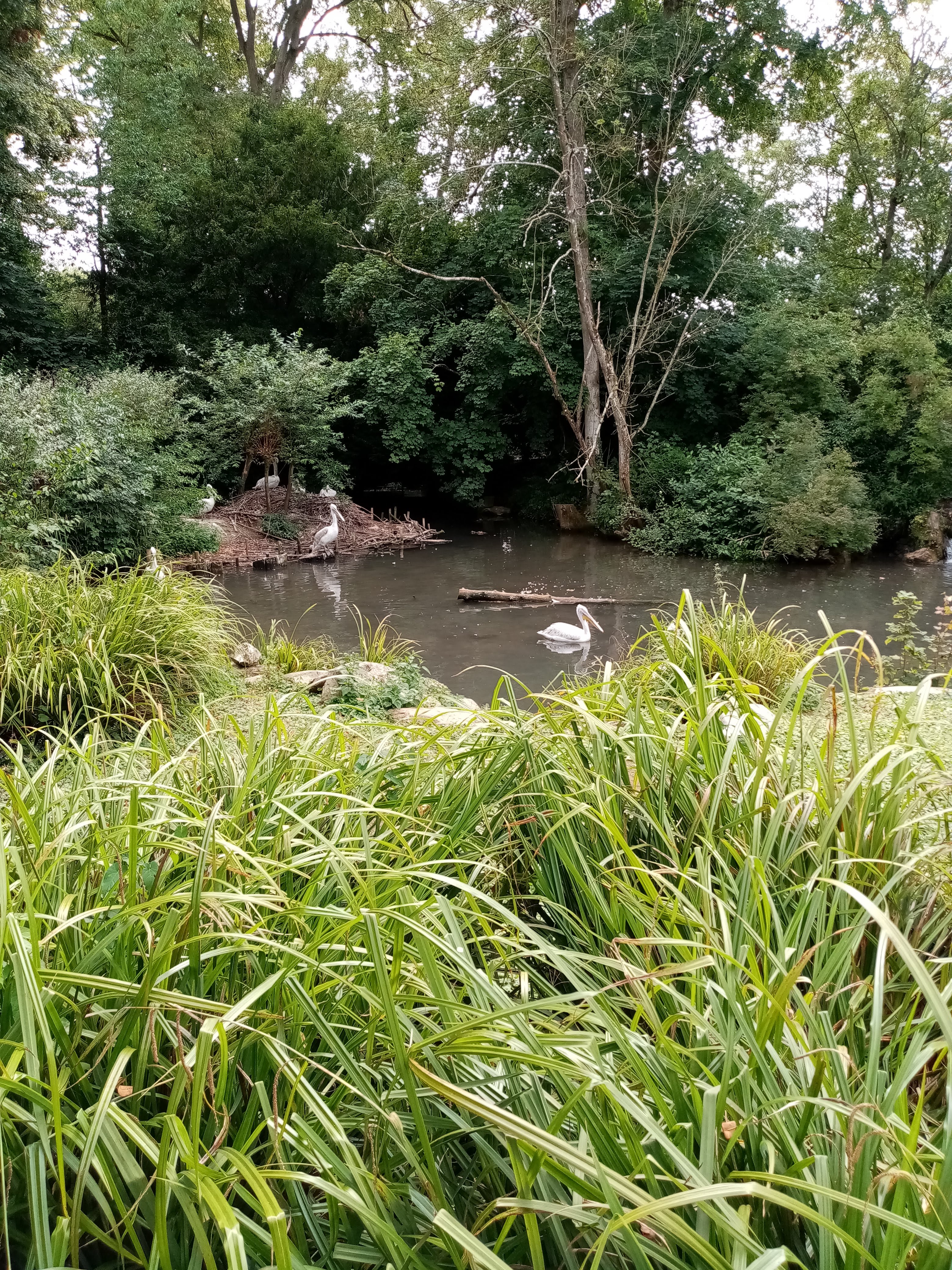 Photo n° 30 de l'avis de Marielaure.a fait le 25/07/2023 à 19:08