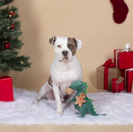 Pet Supply Store «The Pet Beastro», reviews and photos, 27637 John R Rd, Madison Heights, MI 48071, USA