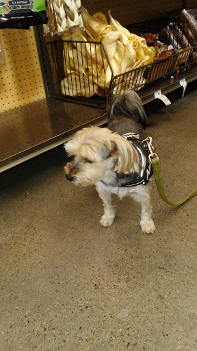 Pet Supply Store «Unleashed by Petco», reviews and photos, 308 Washington St, San Diego, CA 92103, USA