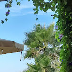 Photo n°2 de l'avis de Eliana.a fait le 26/08/2022 à 15:37 sur le  Hotel Torre à Celle Ligure